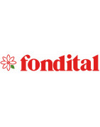 Ricambi caldaie Fondital - Vendita online